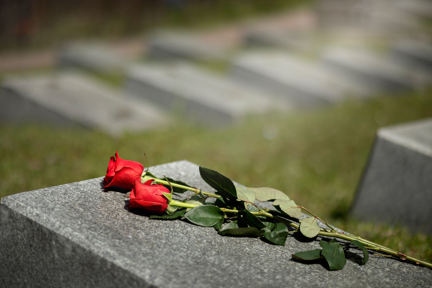 Crônica "A Morte" - Jonathan Lamim