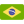 Idioma nativo - português